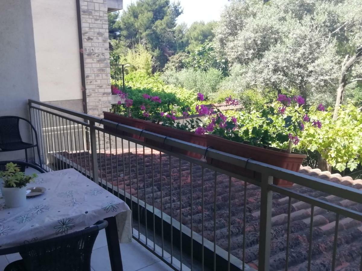 Apartments Jadranka Ivana Pula Exterior foto